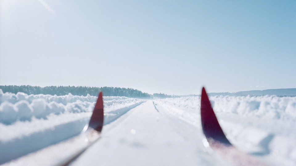 Framdelen av ett par längdskidor ute i skidspåret en strålande vinterdag.